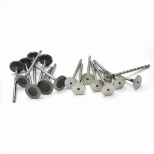 Changan CS75 2.0 Original intake and exhaust valves