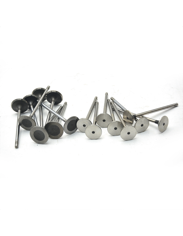 Changan CS75 2.0 Original intake and exhaust valves