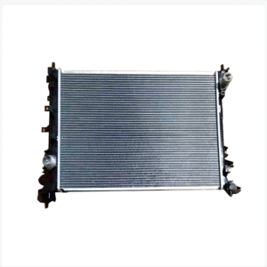 Changan EADO PLUS Original water tank