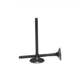 Changan F70/Hunter Original Intake valve
