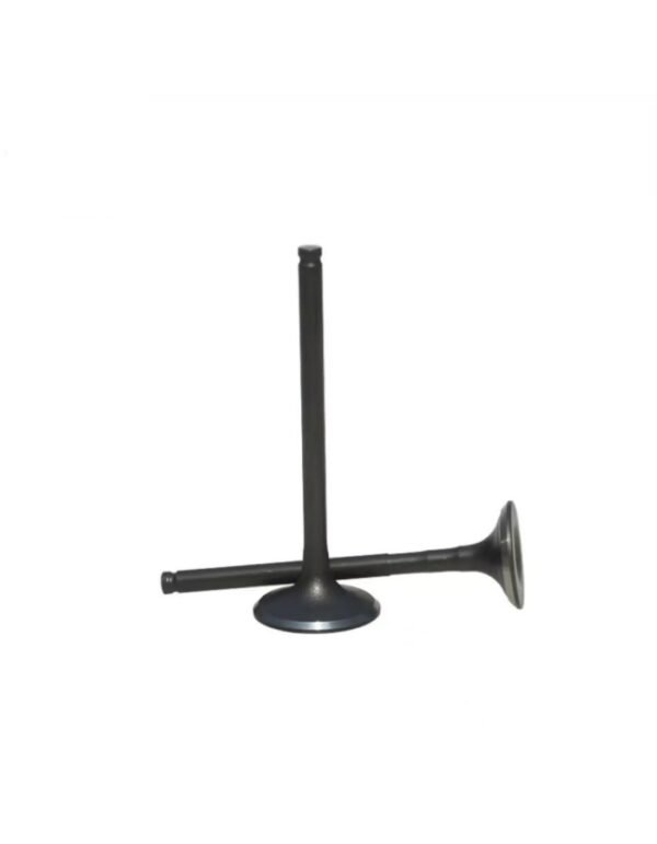Changan F70/Hunter Original Intake valve