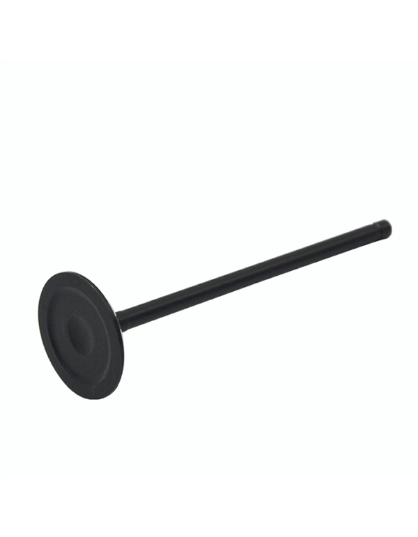 Changan CS75 2.0 Original intake and exhaust valves - Image 4