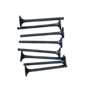 Changan Eado Plus Original intake and exhaust valves