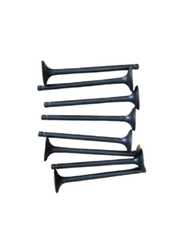 Changan Eado Plus Original intake and exhaust valves