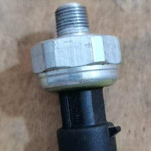 CHANGAN Eado Plus 1.4T Oil pressure alarm assembly