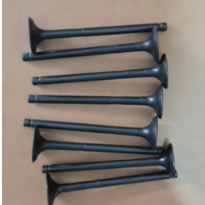 CHANGAN Eado Plus 1.4T Exhaust valve